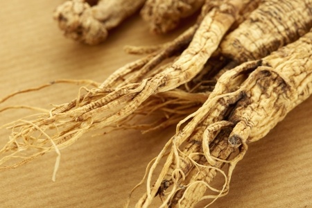 American ginseng healing tonic herb2