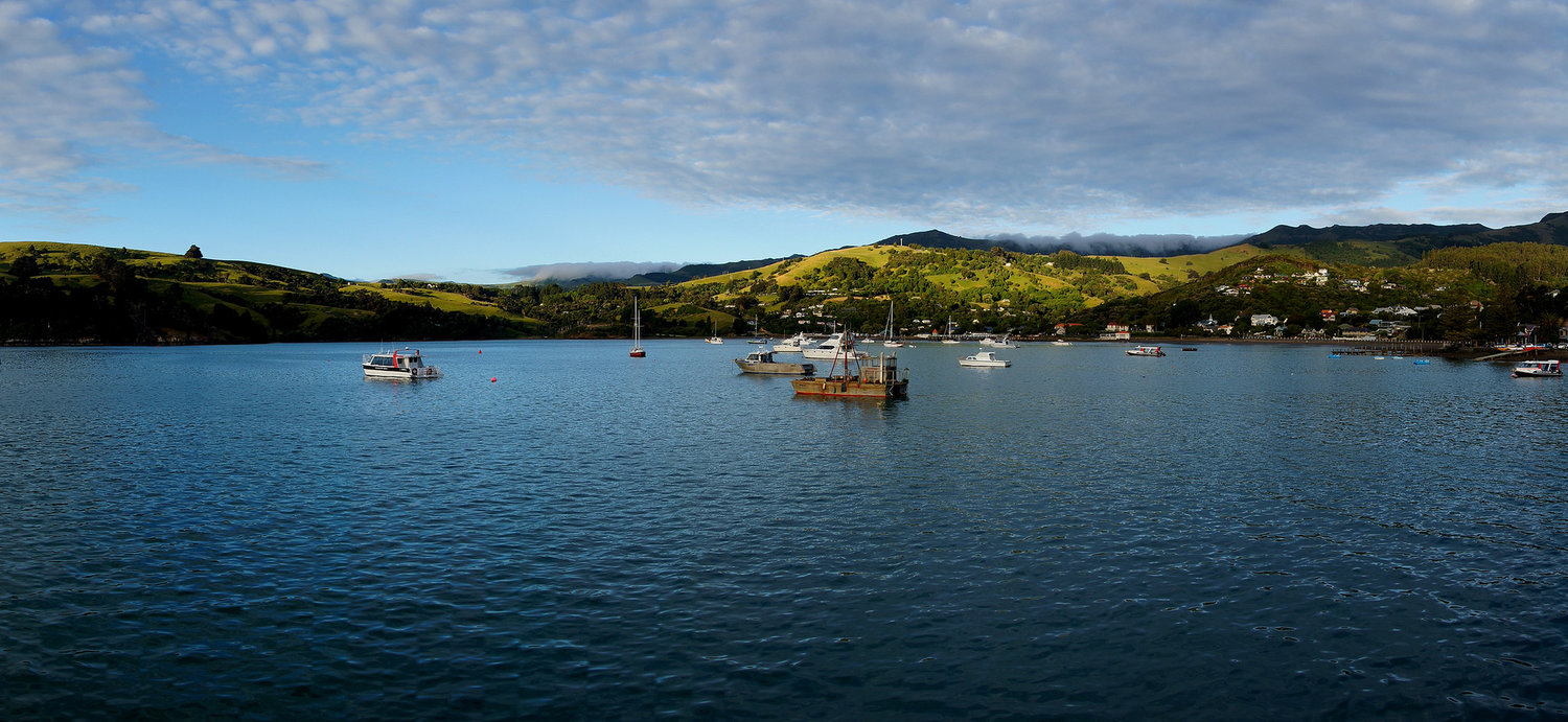 NZ tour Boats+in+Bay2