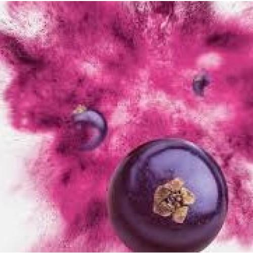 Viberi organic black currant powder foodie shot available in the USA2