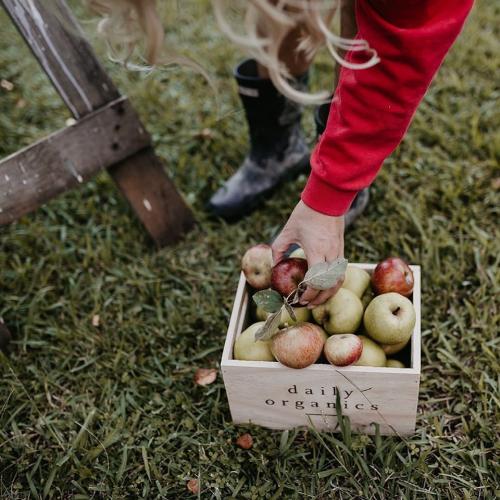 apple cider vinegar organic New Zealand apples