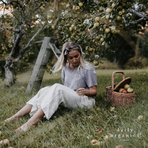 apple orchard3