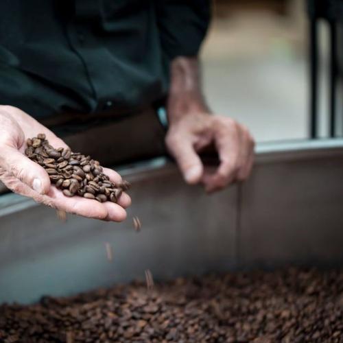 coffee roasting
