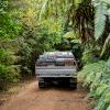 Tahi conservation for honey real manuka UMF 10