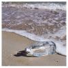 antipodes water at the beach