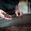 coffee roasting