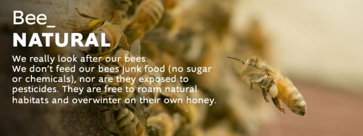 bee natural chemical free organic manuka honey as nature intended