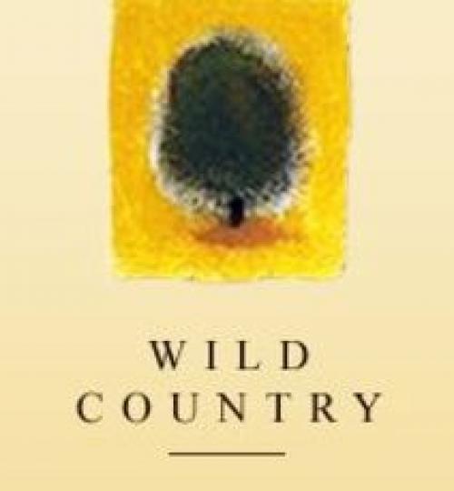 wild country logo2