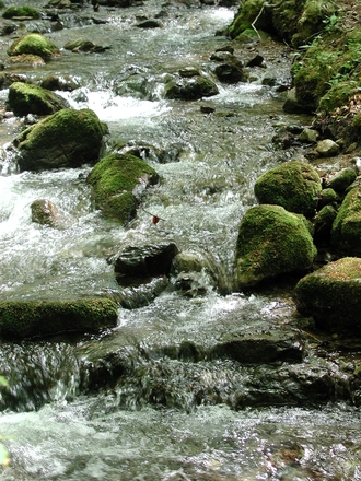 natural water from a remote location2