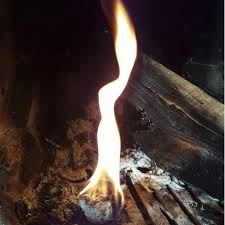 organic fire starter on fire